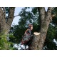 Бензопила Husqvarna 545 Mark II-15&quot; в Курске