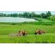 Минитрактор Кентавр Т-240 PRO в Курске